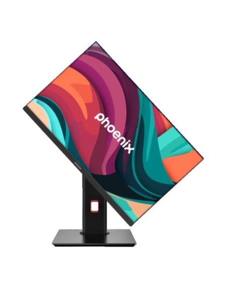 23898 AIOMF 23.8" PHOENIX      I5-13400 16GB   1TB NVME FREE PN: GDX1124 EAN: 1000000001124   